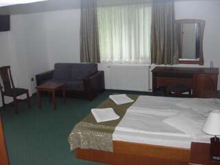 Отель Panorama Hotel Априлци Двухместный номер с 1 кроватью или 2 отдельными кроватями-13